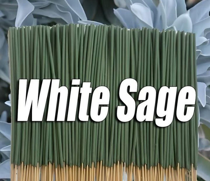 White Sage Smudge Stick (1) Or Incense (12) - Image 3